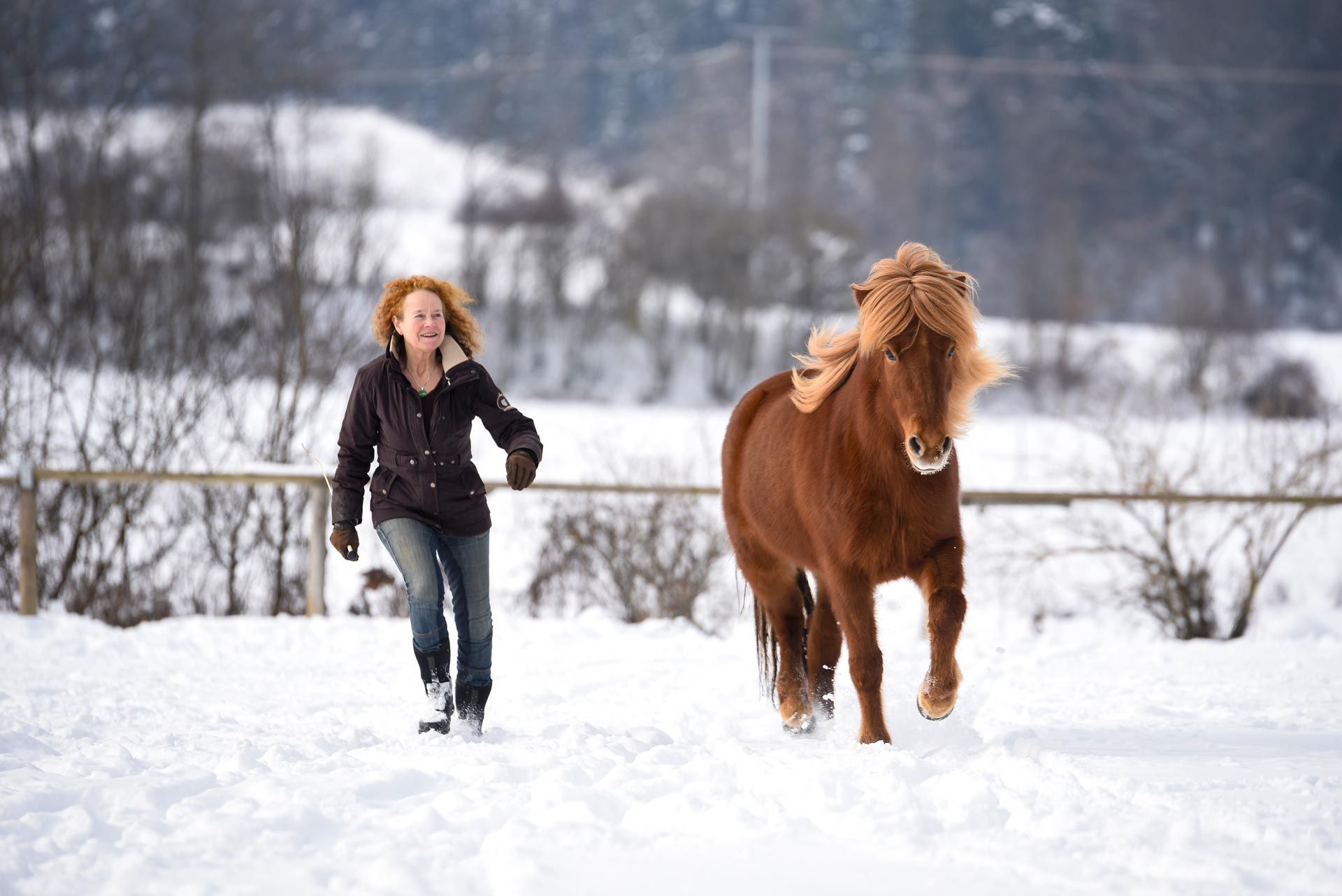 Birgit Femmer läuft mit einem fuchsfarbenen Islandpferd durch den Schnee